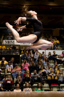 Florida @ Mizzou Women's Gymnastics `