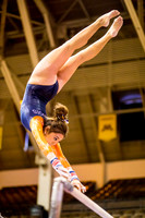 UofI Exhibition Blue V Orange