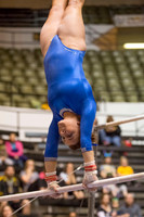 Florida @ Mizzou Women's Gymnastics `