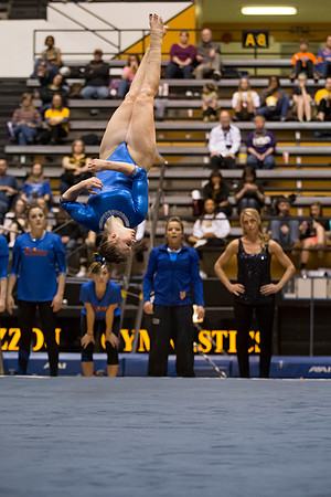 Florida @ Mizzou Women's Gymnastics `