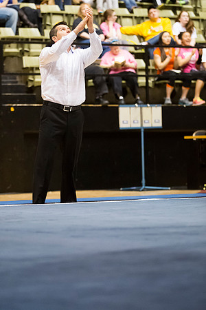 Florida @ Mizzou Women's Gymnastics `