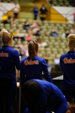 Florida @ Mizzou Women's Gymnastics `