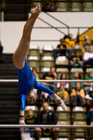 Florida @ Mizzou Women's Gymnastics `