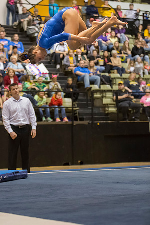 Florida @ Mizzou Women's Gymnastics `