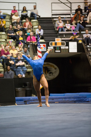 Florida @ Mizzou Women's Gymnastics `