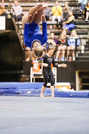 Florida @ Mizzou Women's Gymnastics `