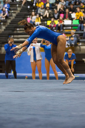 Florida @ Mizzou Women's Gymnastics `