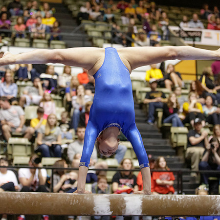 Florida @ Mizzou Women's Gymnastics `