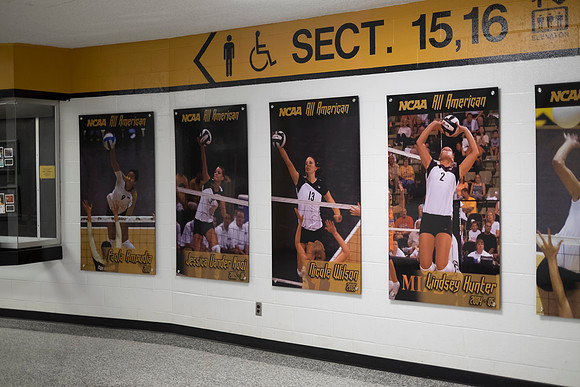 Florida @ Mizzou Women's Gymnastics `