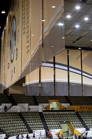 Florida @ Mizzou Women's Gymnastics `