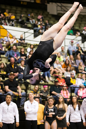 Florida @ Mizzou Women's Gymnastics `