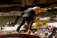 Florida @ Mizzou Women's Gymnastics `
