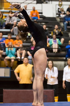 Florida @ Mizzou Women's Gymnastics `