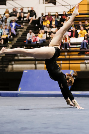 Florida @ Mizzou Women's Gymnastics `