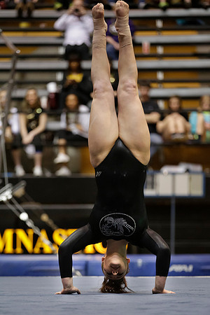 Florida @ Mizzou Women's Gymnastics `