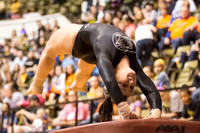 Florida @ Mizzou Women's Gymnastics `