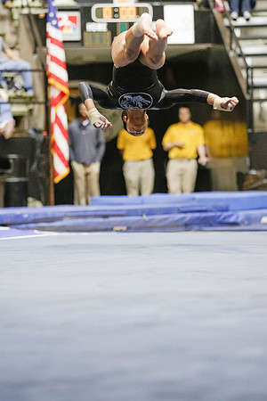 Florida @ Mizzou Women's Gymnastics `