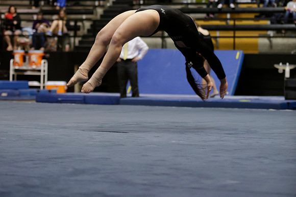 Florida @ Mizzou Women's Gymnastics `