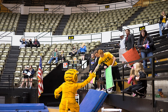 Florida @ Mizzou Women's Gymnastics `
