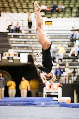 Florida @ Mizzou Women's Gymnastics `