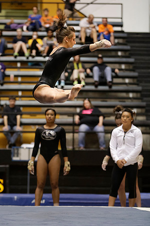 Florida @ Mizzou Women's Gymnastics `