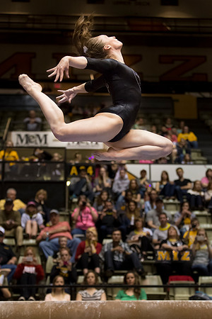 Florida @ Mizzou Women's Gymnastics `