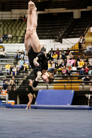 Florida @ Mizzou Women's Gymnastics `