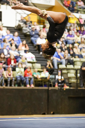 Florida @ Mizzou Women's Gymnastics `