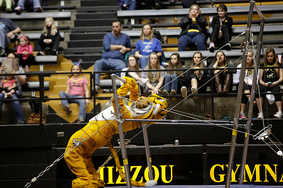 Florida @ Mizzou Women's Gymnastics `