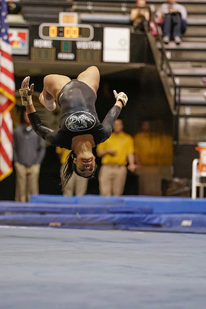 Florida @ Mizzou Women's Gymnastics `