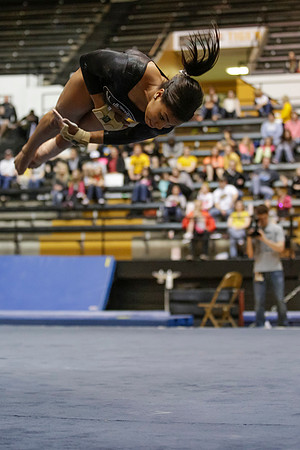 Florida @ Mizzou Women's Gymnastics `
