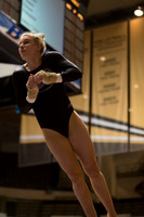 Florida @ Mizzou Women's Gymnastics `