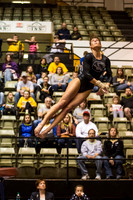 Florida @ Mizzou Women's Gymnastics `