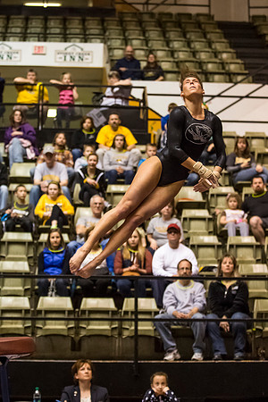 Florida @ Mizzou Women's Gymnastics `