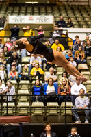 Florida @ Mizzou Women's Gymnastics `