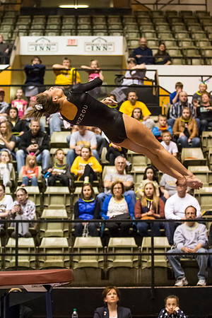 Florida @ Mizzou Women's Gymnastics `