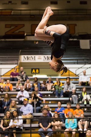 Florida @ Mizzou Women's Gymnastics `