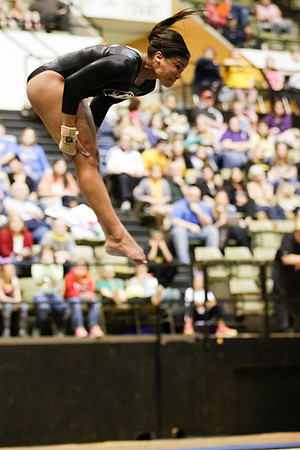 Florida @ Mizzou Women's Gymnastics `