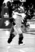 Indiana State University Sycamores vs Illinois State Redbirds