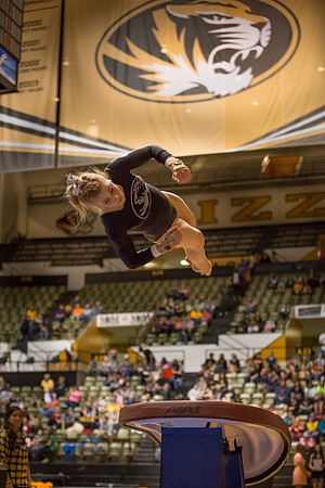 Florida @ Mizzou Women's Gymnastics `