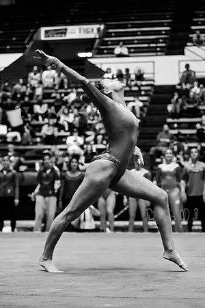 Florida @ Mizzou Women's Gymnastics `