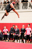 Gymnastics Portfolio